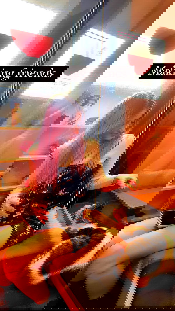 feelbetterinmysweater feelbetterinmysweater archive image