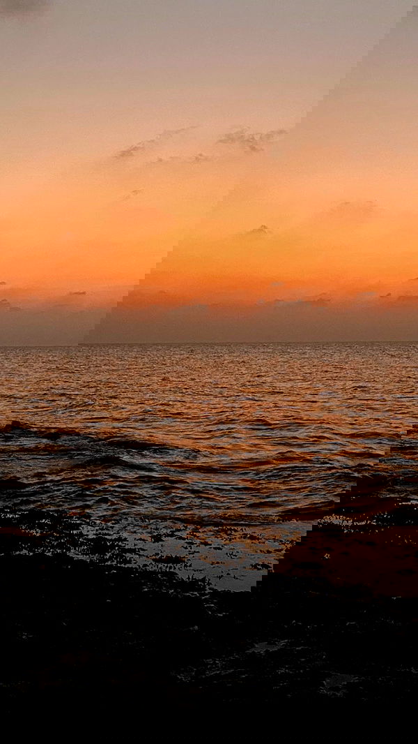 feelbetterinmysweater feelbetterinmysweater archive image