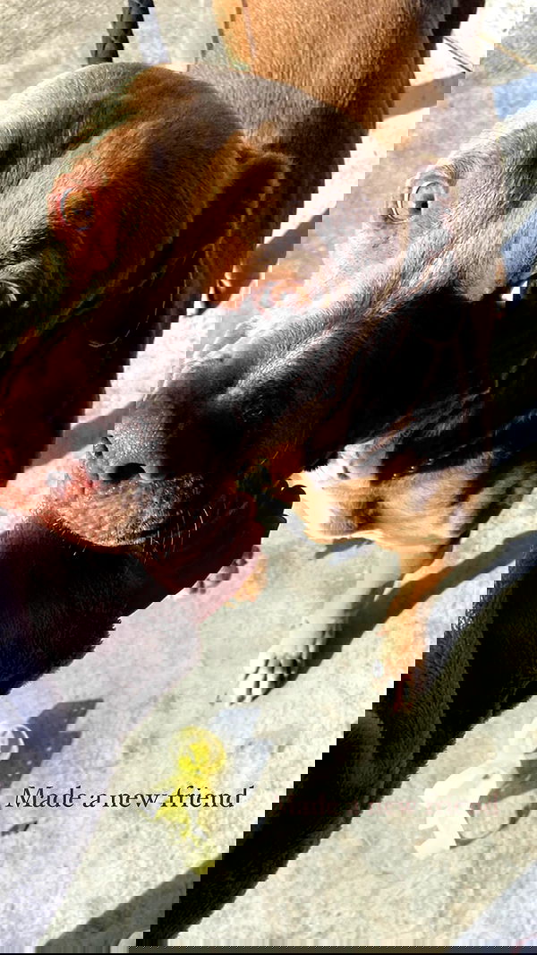 feelbetterinmysweater feelbetterinmysweater archive image