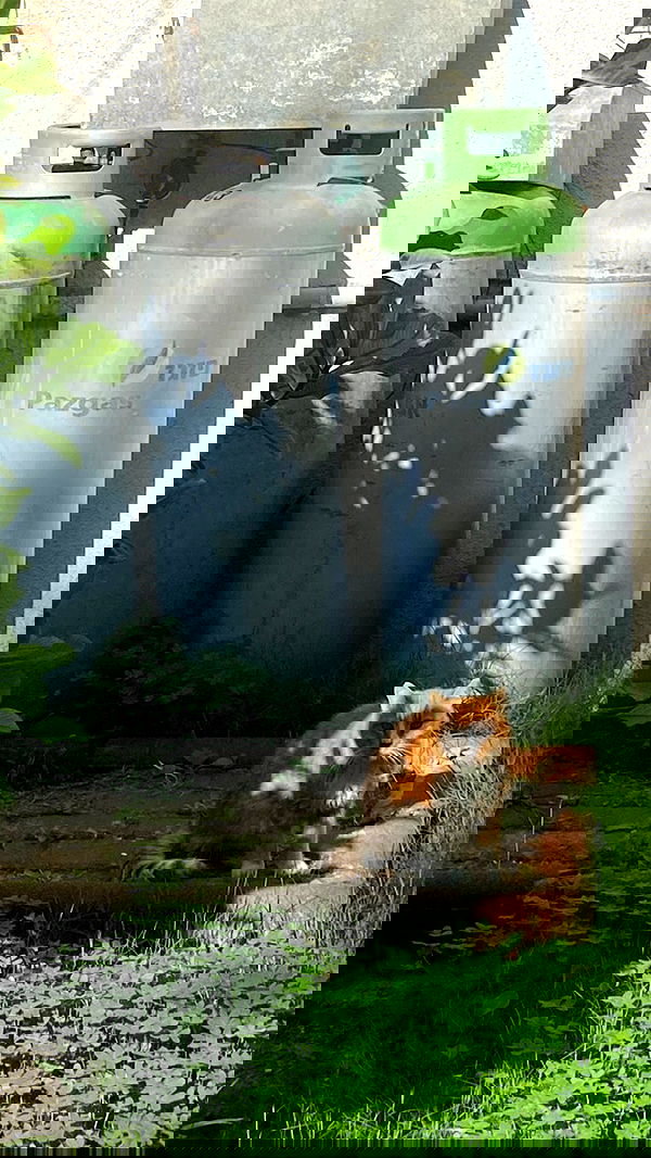 feelbetterinmysweater feelbetterinmysweater archive image