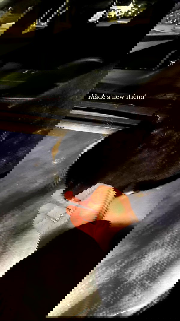 feelbetterinmysweater feelbetterinmysweater archive image