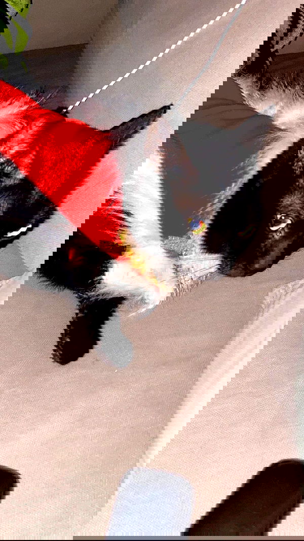 feelbetterinmysweater feelbetterinmysweater archive image