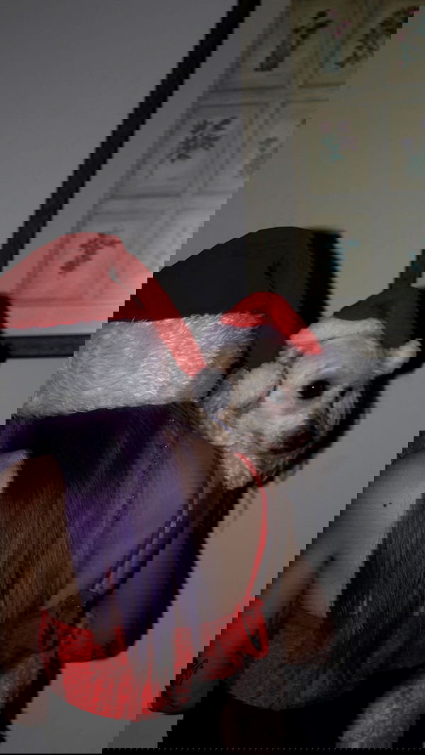 feelbetterinmysweater feelbetterinmysweater archive image