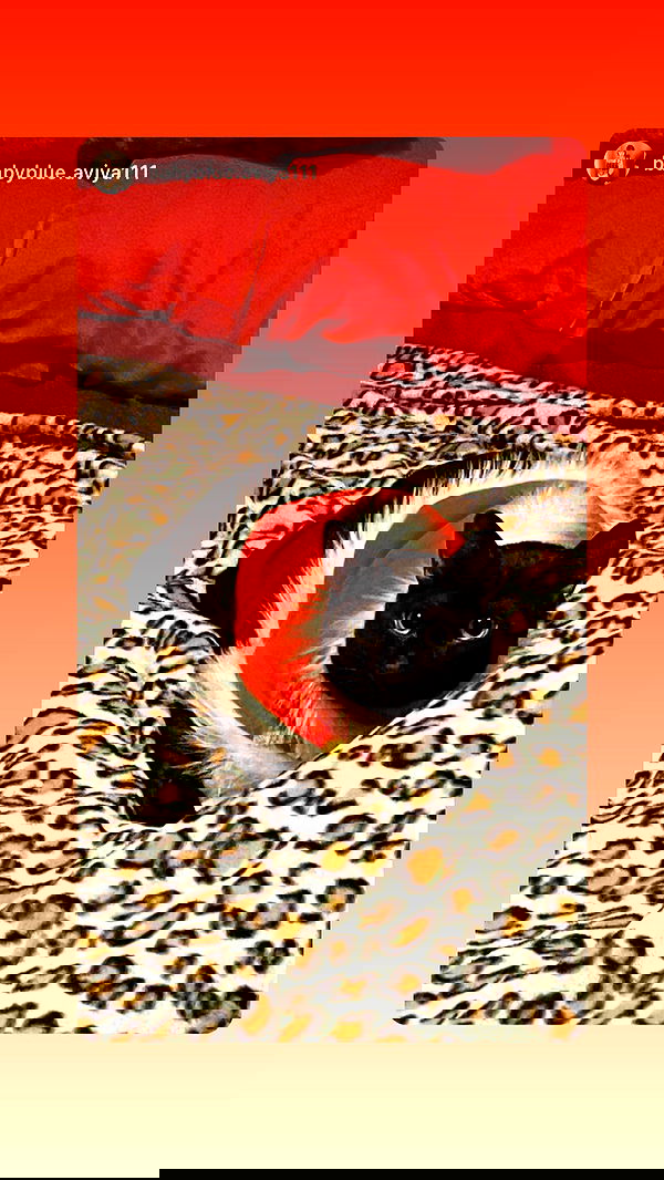 feelbetterinmysweater feelbetterinmysweater archive image