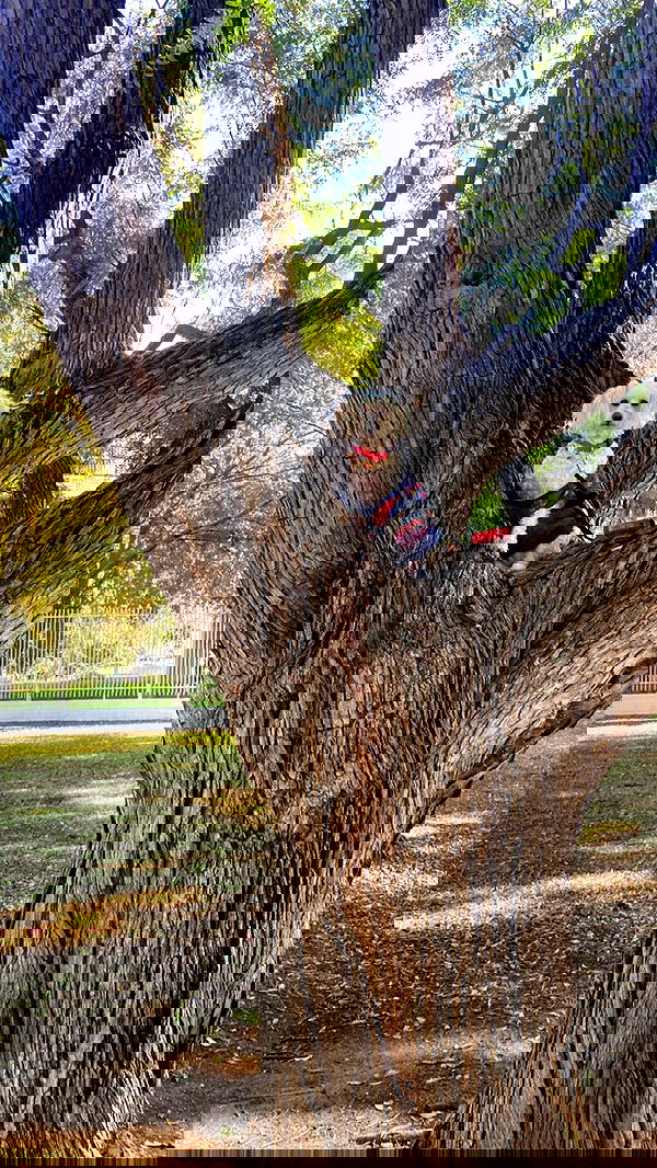 feelbetterinmysweater feelbetterinmysweater archive image