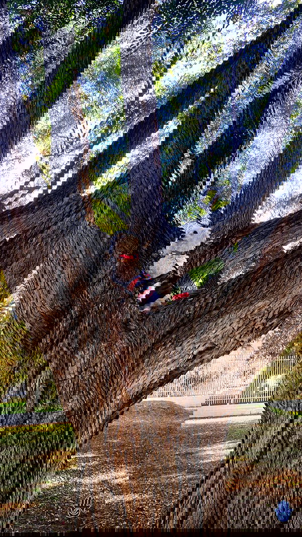 feelbetterinmysweater feelbetterinmysweater archive image