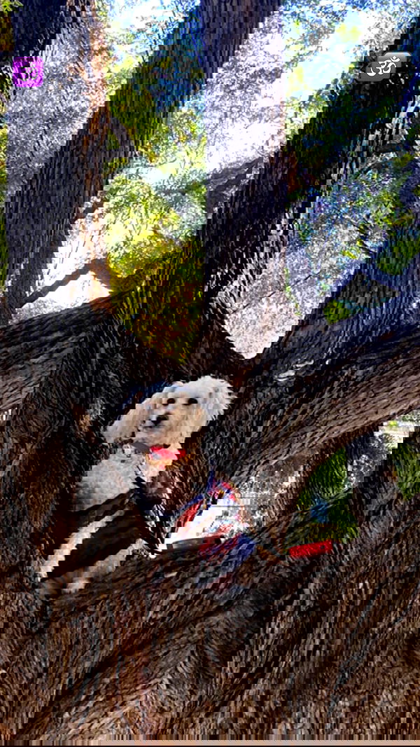 feelbetterinmysweater feelbetterinmysweater archive image