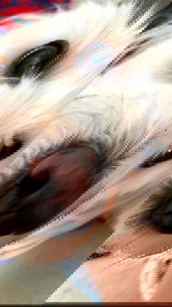 feelbetterinmysweater feelbetterinmysweater archive image