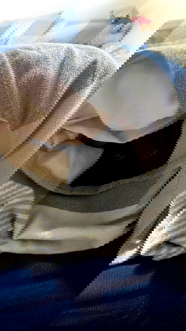 feelbetterinmysweater feelbetterinmysweater archive image