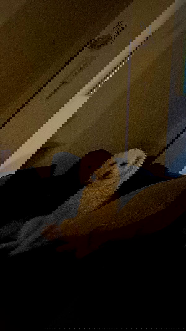 feelbetterinmysweater feelbetterinmysweater archive image