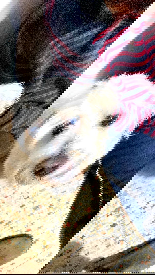 feelbetterinmysweater feelbetterinmysweater archive image