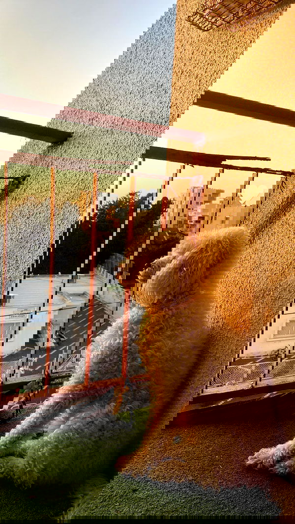 feelbetterinmysweater feelbetterinmysweater archive image