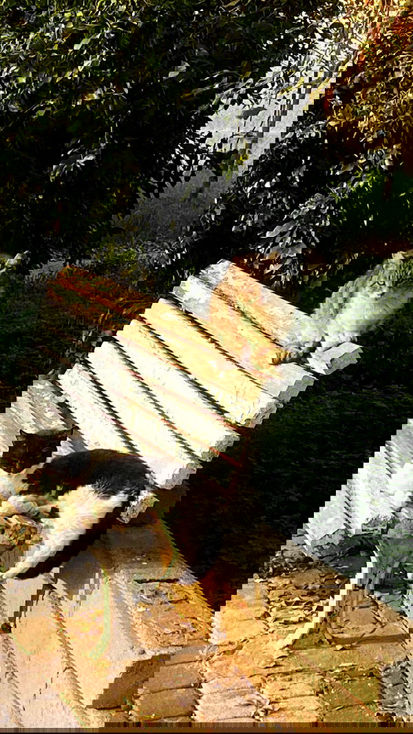 feelbetterinmysweater feelbetterinmysweater archive image