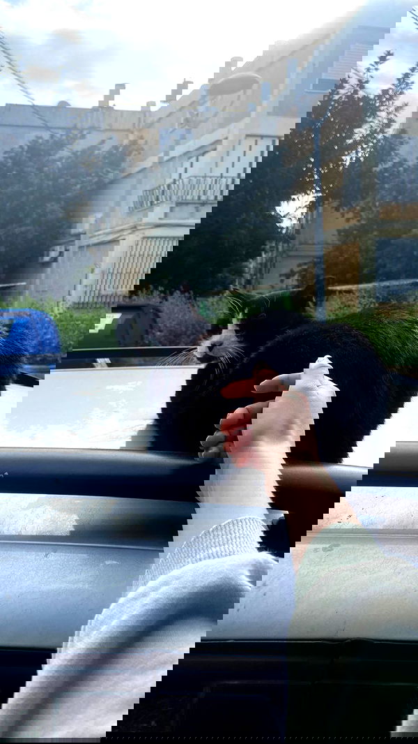 feelbetterinmysweater feelbetterinmysweater archive image