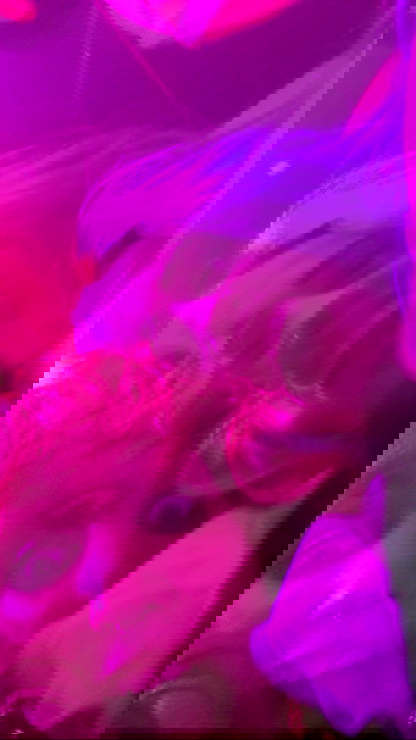 feelbetterinmysweater feelbetterinmysweater archive image