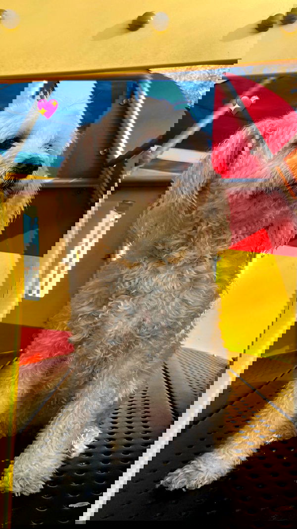 feelbetterinmysweater feelbetterinmysweater archive image