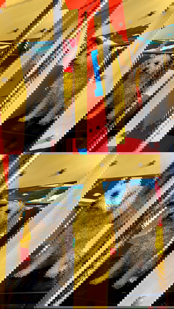 feelbetterinmysweater feelbetterinmysweater archive image