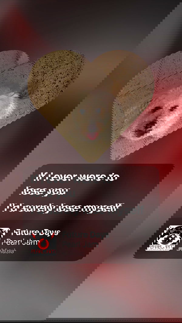 feelbetterinmysweater feelbetterinmysweater archive image