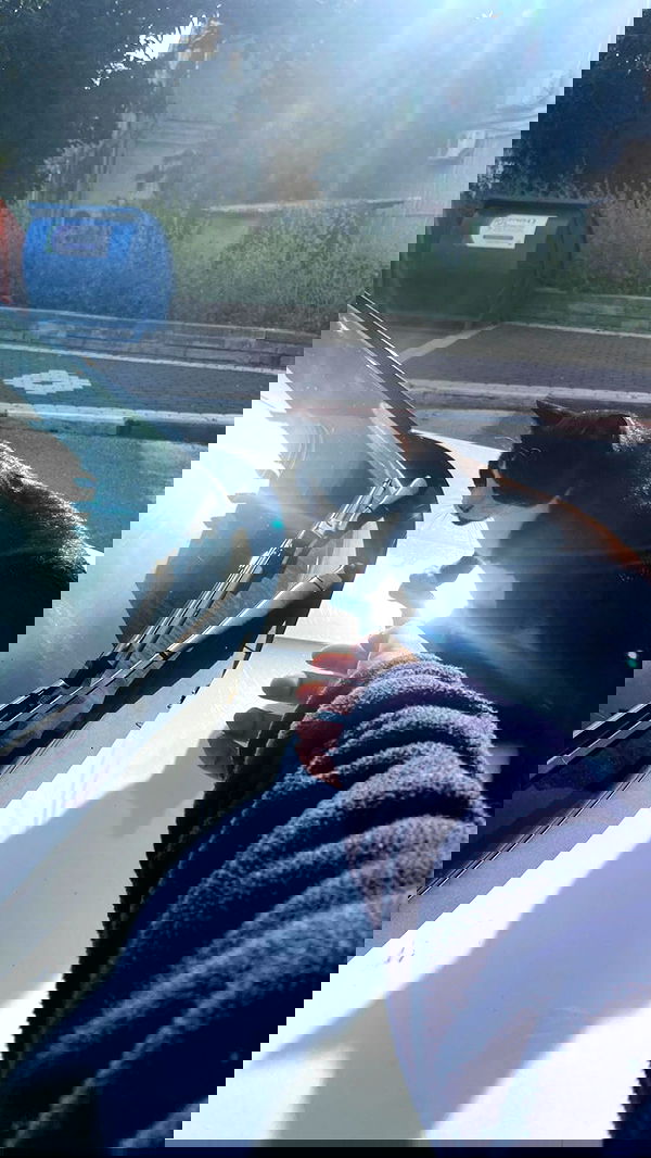 feelbetterinmysweater feelbetterinmysweater archive image