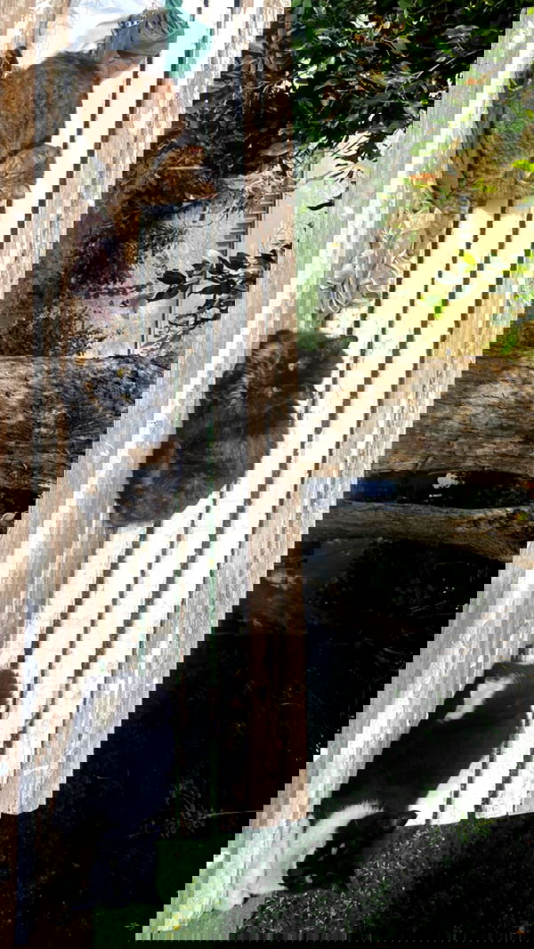 feelbetterinmysweater feelbetterinmysweater archive image