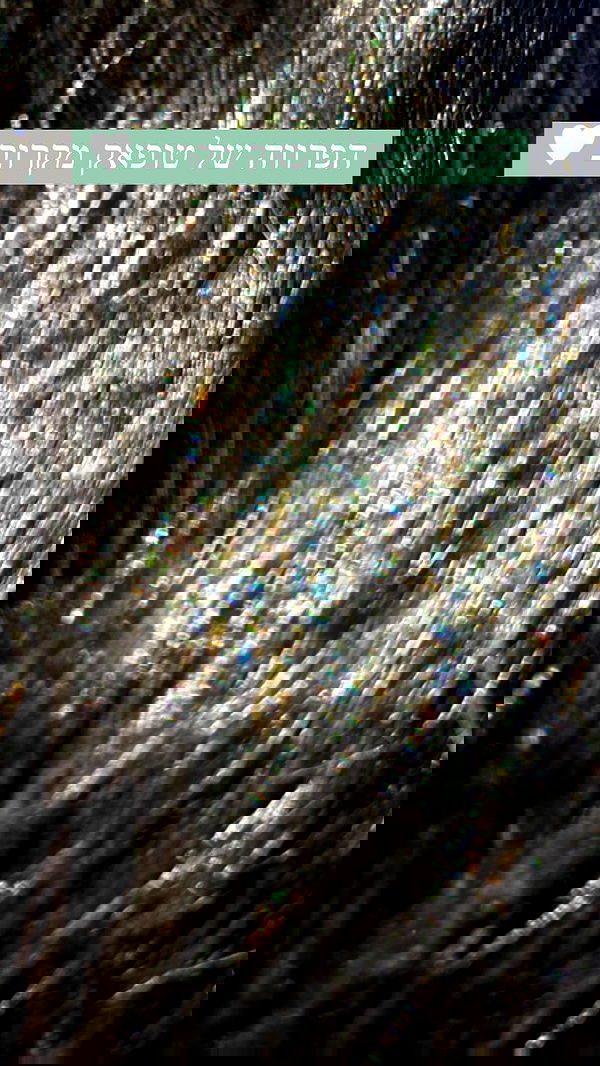 feelbetterinmysweater feelbetterinmysweater archive image