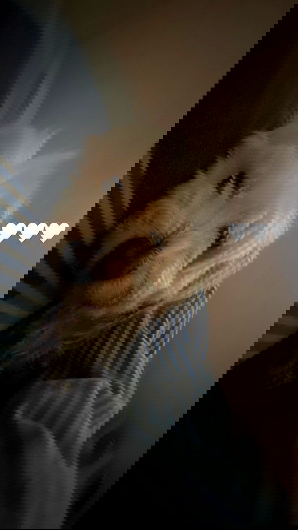 feelbetterinmysweater feelbetterinmysweater archive image