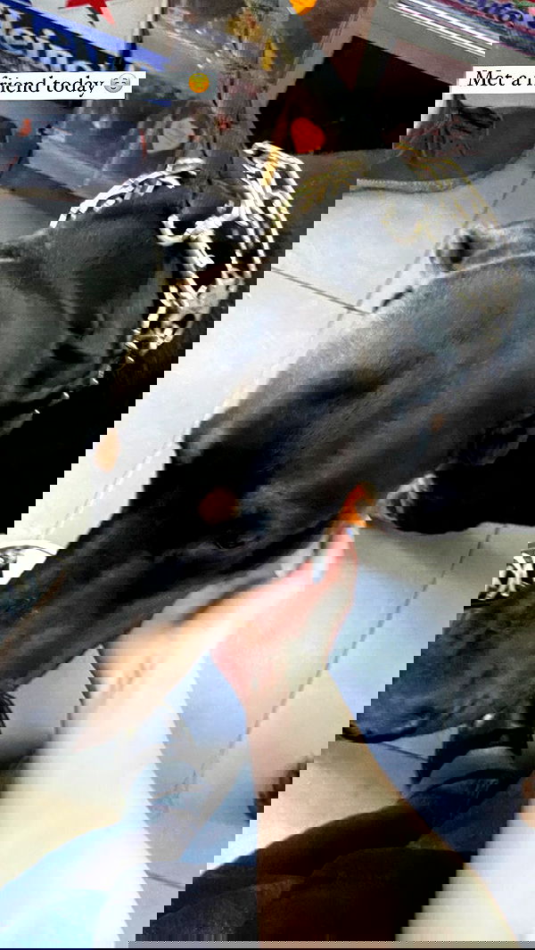 feelbetterinmysweater feelbetterinmysweater archive image