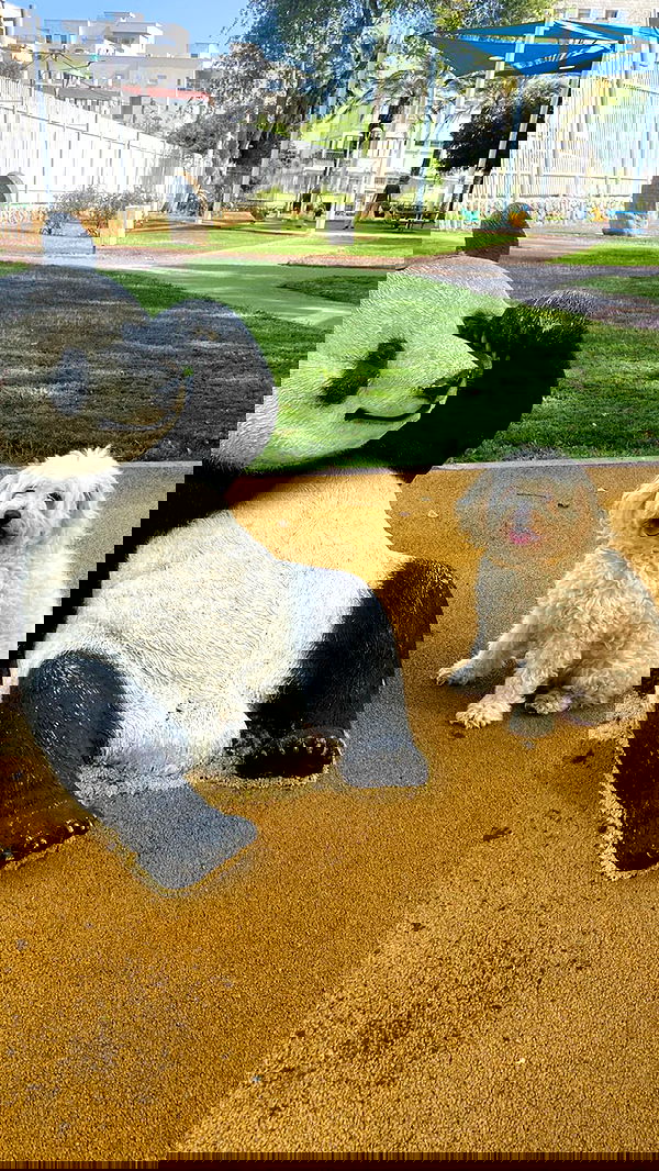 feelbetterinmysweater feelbetterinmysweater archive image