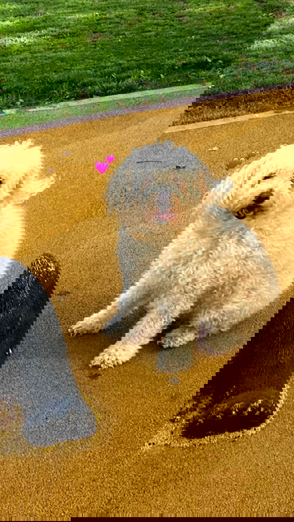 feelbetterinmysweater feelbetterinmysweater archive image