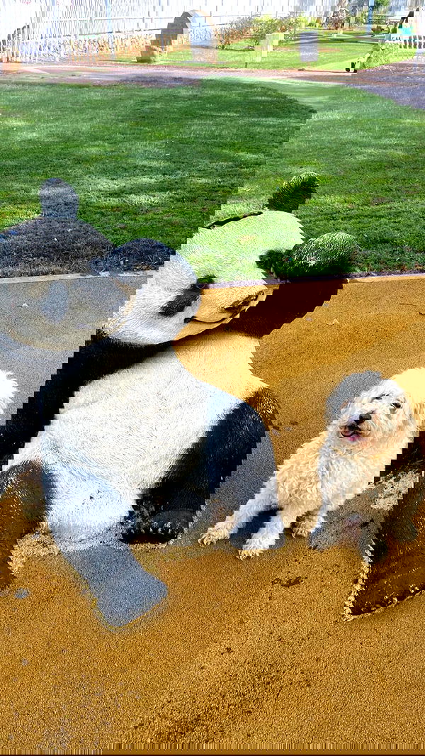 feelbetterinmysweater feelbetterinmysweater archive image