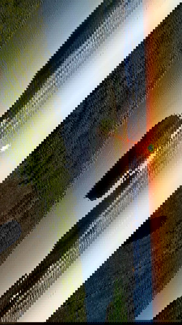 feelbetterinmysweater feelbetterinmysweater archive image