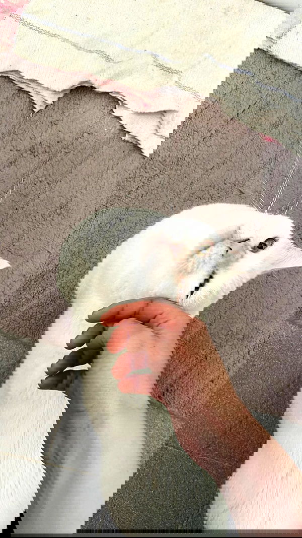 feelbetterinmysweater feelbetterinmysweater archive image