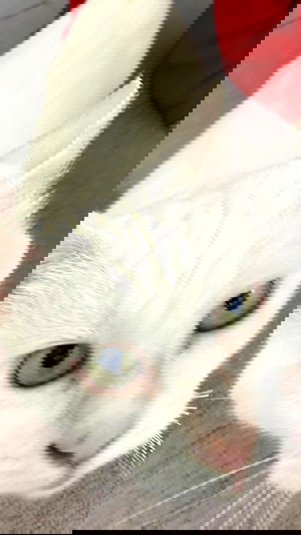 feelbetterinmysweater feelbetterinmysweater archive image