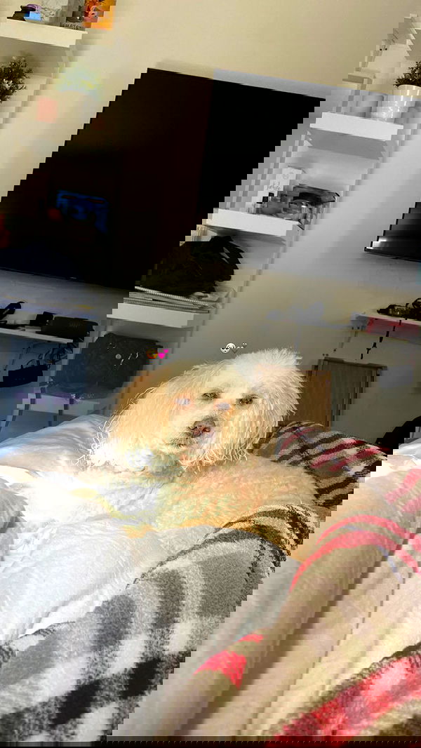 feelbetterinmysweater feelbetterinmysweater archive image