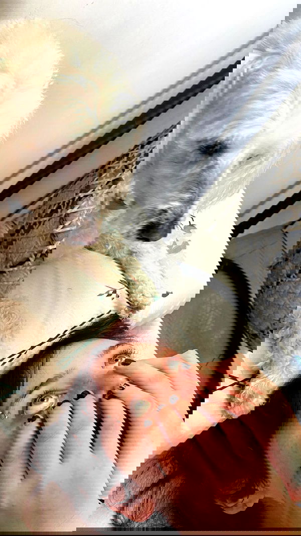 feelbetterinmysweater feelbetterinmysweater archive image