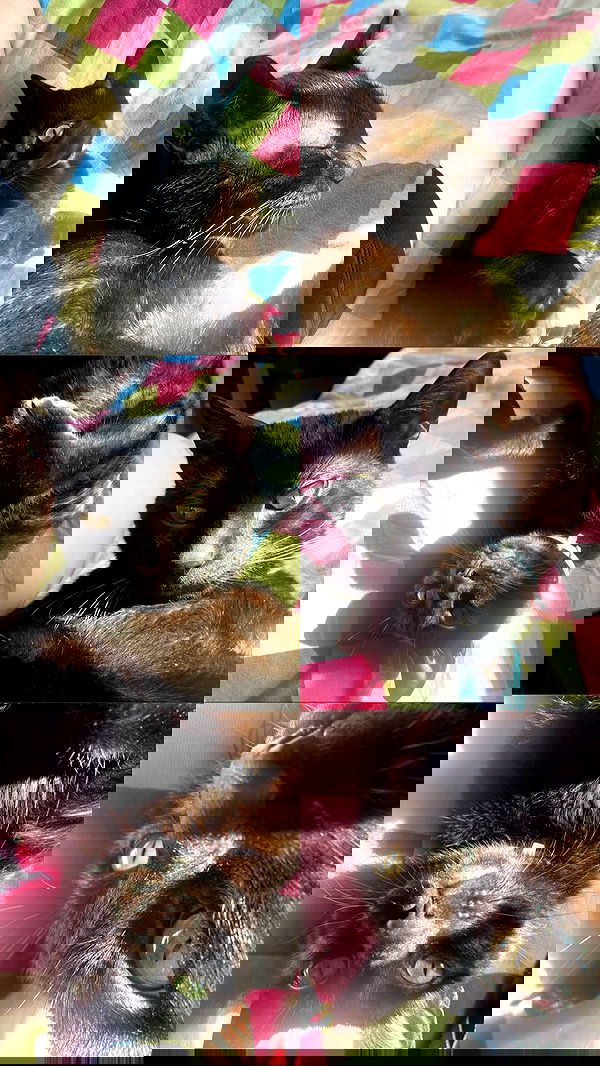 feelbetterinmysweater feelbetterinmysweater archive image