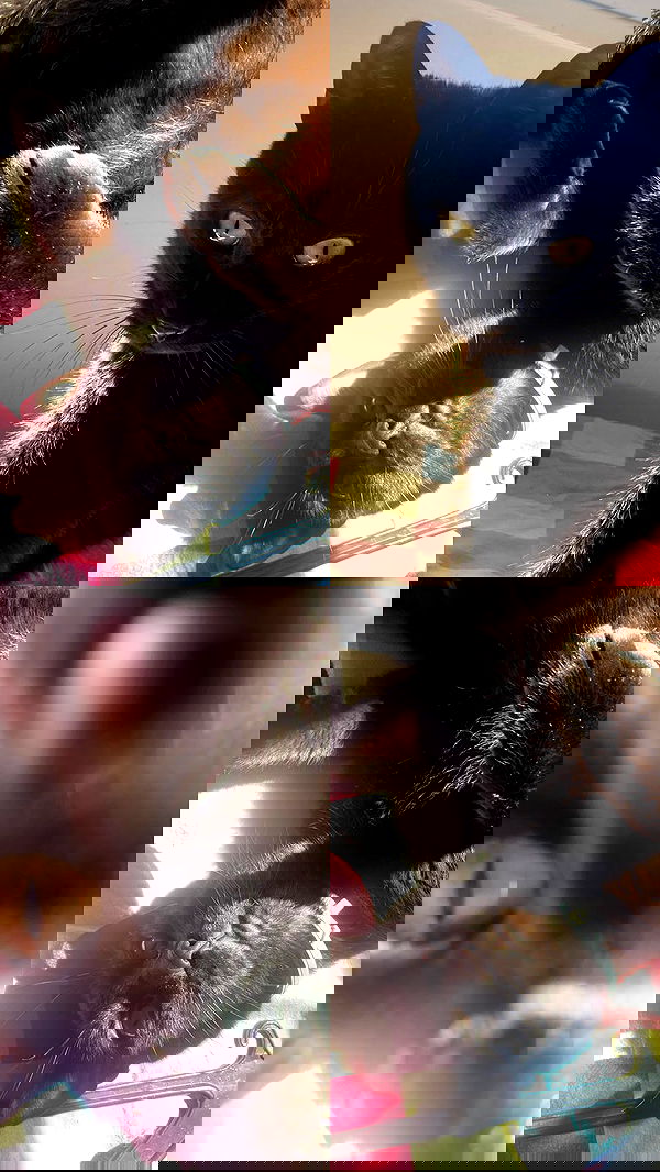 feelbetterinmysweater feelbetterinmysweater archive image