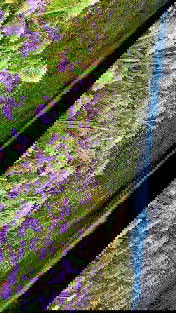 feelbetterinmysweater feelbetterinmysweater archive image