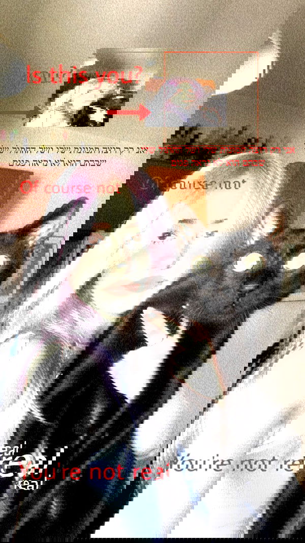 feelbetterinmysweater feelbetterinmysweater archive image