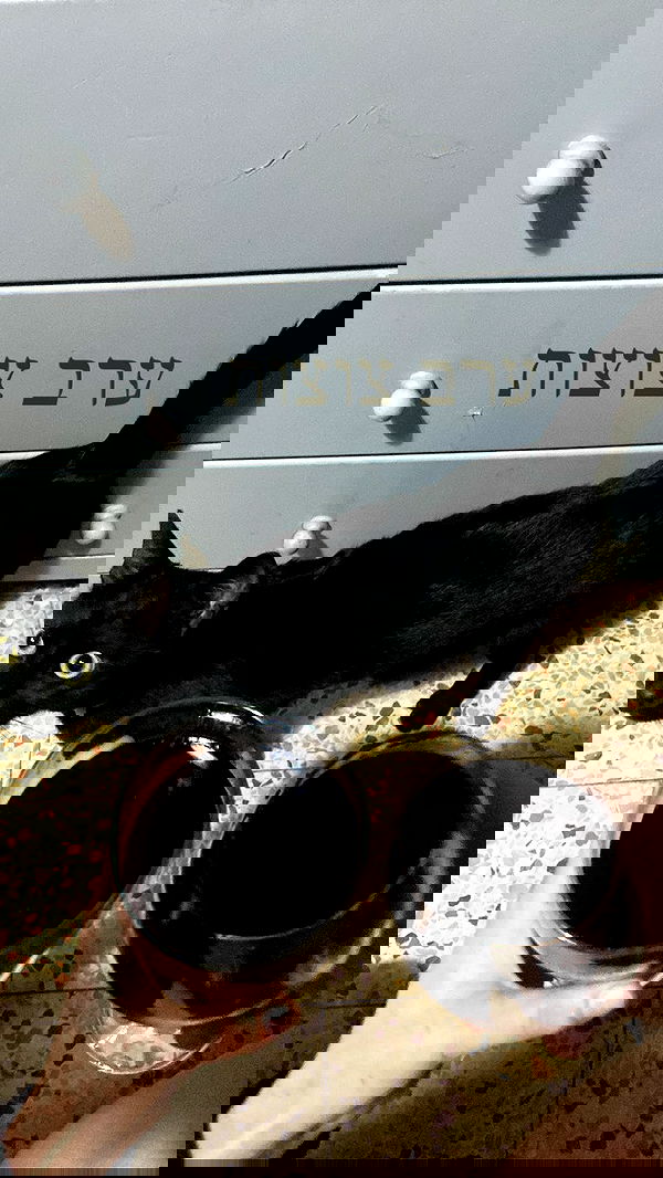 feelbetterinmysweater feelbetterinmysweater archive image