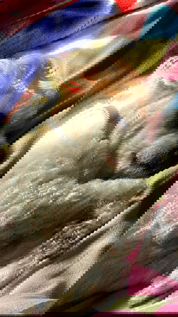 feelbetterinmysweater feelbetterinmysweater archive image