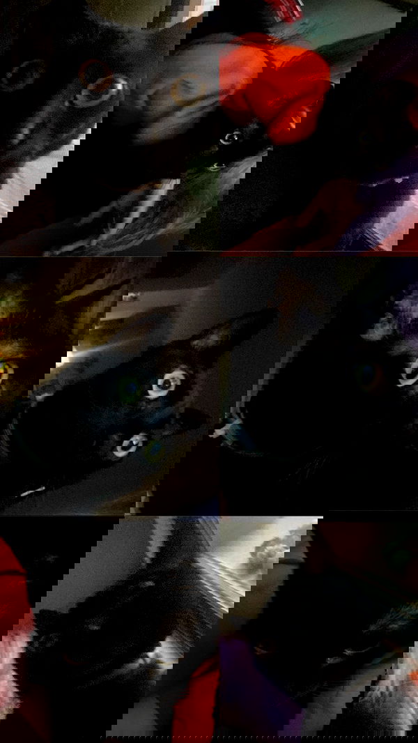 feelbetterinmysweater feelbetterinmysweater archive image