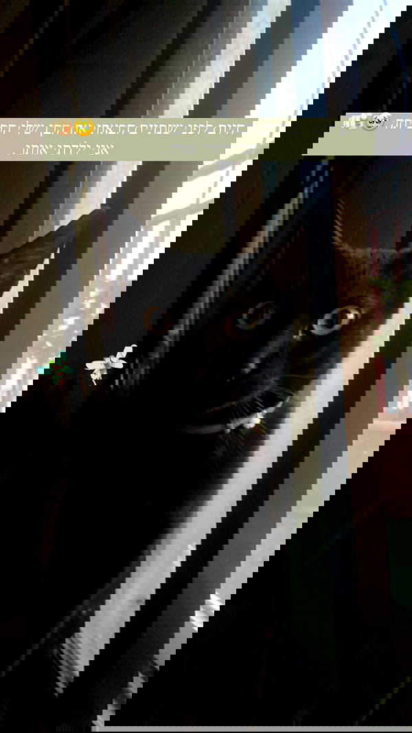 feelbetterinmysweater feelbetterinmysweater archive image