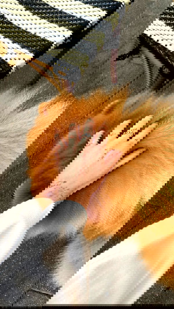 feelbetterinmysweater feelbetterinmysweater archive image