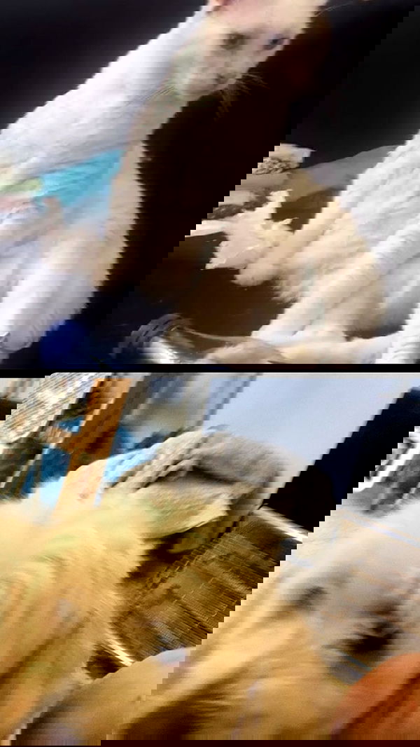 feelbetterinmysweater feelbetterinmysweater archive image