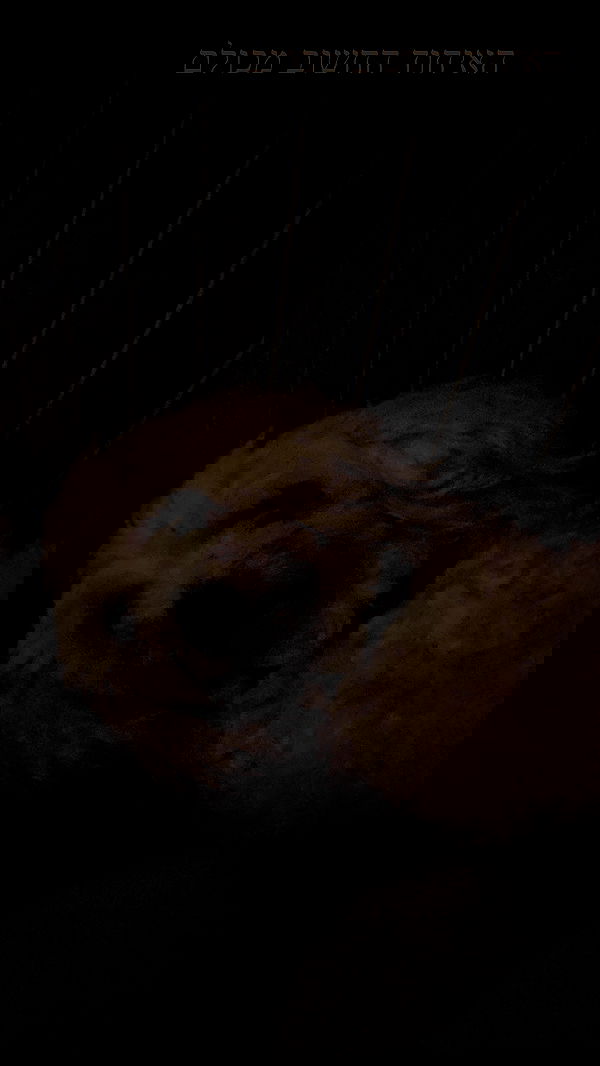 feelbetterinmysweater feelbetterinmysweater archive image