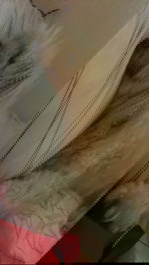 feelbetterinmysweater feelbetterinmysweater archive image