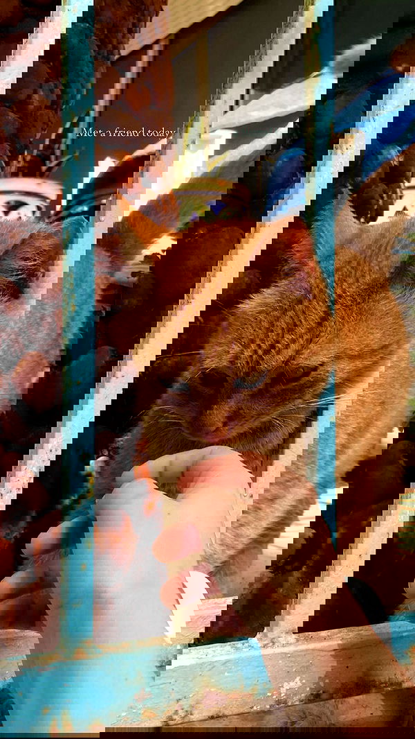 feelbetterinmysweater feelbetterinmysweater archive image