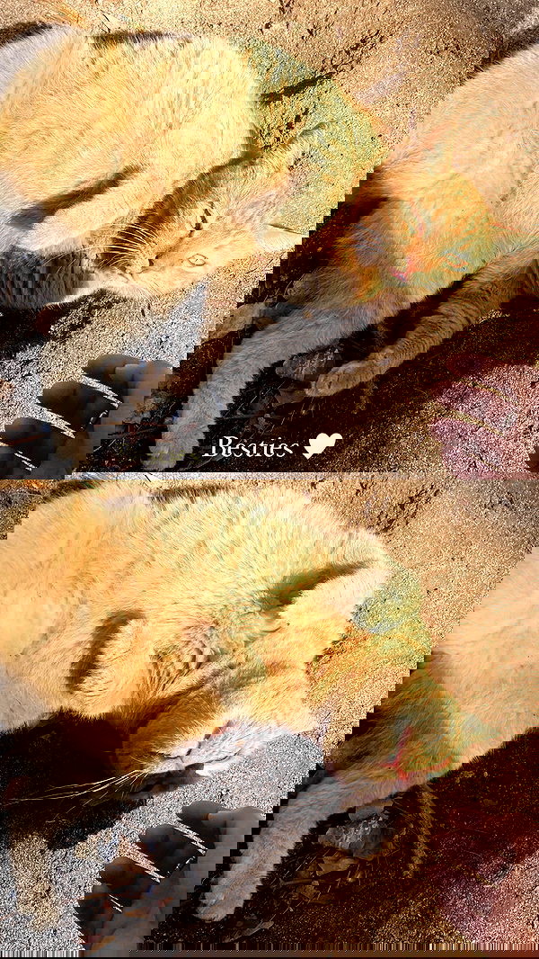 feelbetterinmysweater feelbetterinmysweater archive image