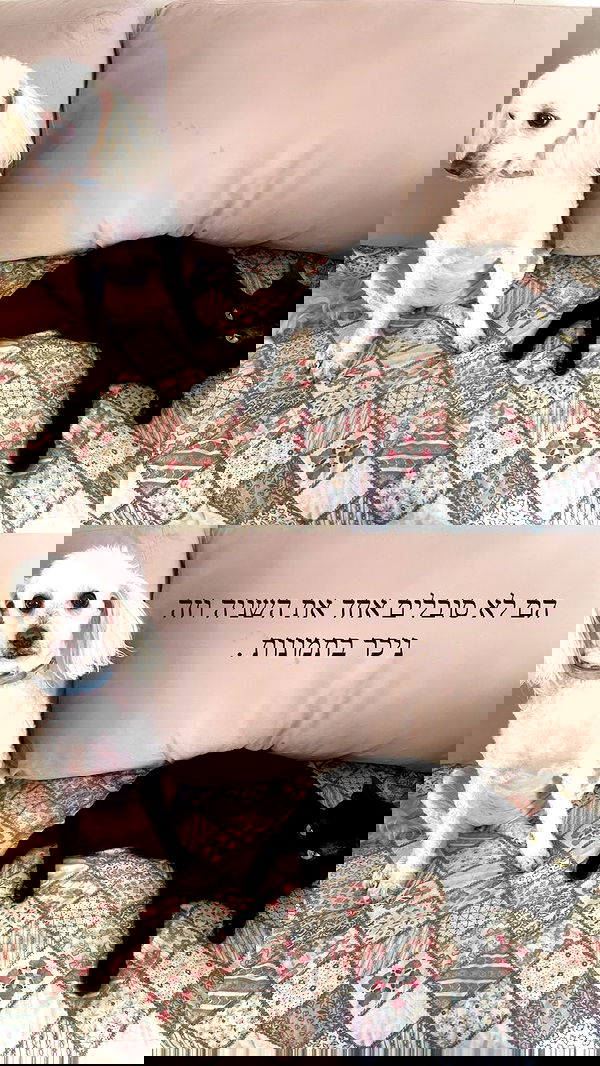 feelbetterinmysweater feelbetterinmysweater archive image